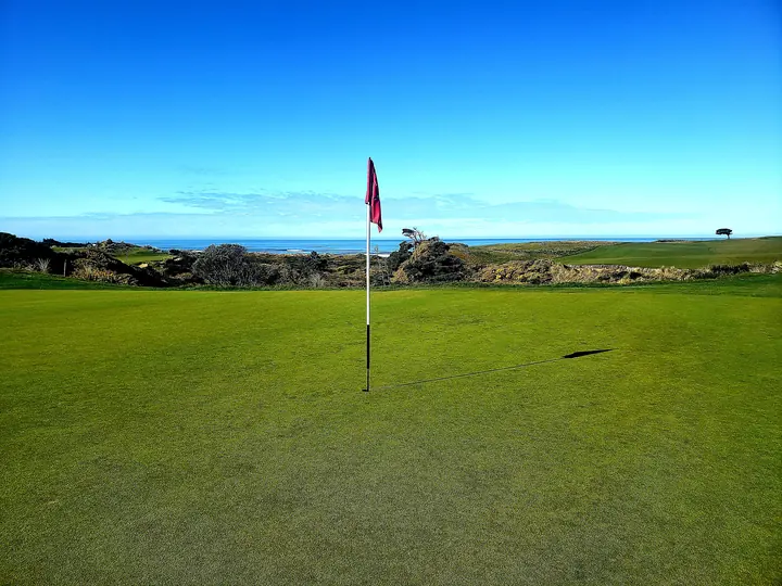 A putting green above the Pacific with gorse along the dune line.